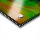 DSC 4390  Acrylic print