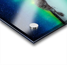 JBS 4493  Acrylic print