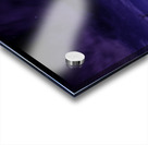 JBS 3330 Acrylic print