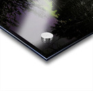 JBS 5199  Acrylic print