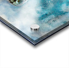 jbs 5420 owl abstract Acrylic print