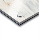 bearonbrd Acrylic print