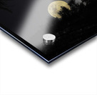 JBS 2066  Acrylic print