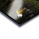 JBS 9682  Acrylic print