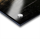 JBS 9973  Acrylic print