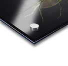 JBS 0997 Acrylic print