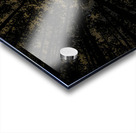 JBS 5549  Acrylic print