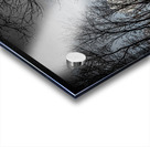 JBS 0236  Acrylic print