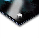 JBS 0093  Acrylic print