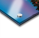 JBS 8795 Acrylic print