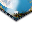 JBS 9958  Acrylic print