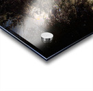 JBS 8757  Acrylic print