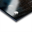 DSC 4175  Acrylic print