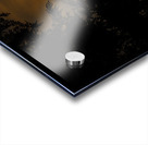 JBS 3573  Acrylic print