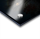 JBS 8045 Acrylic print