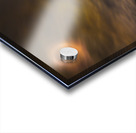 JBS 9712 2 Acrylic print