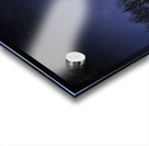 JBS 3472  Acrylic print