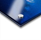 JBS 4810  Acrylic print