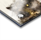 JBS 9070 Acrylic print