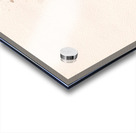 JBS 8771  Acrylic print