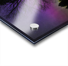 JBS 5676 Acrylic print