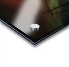 JBS 5620  Acrylic print