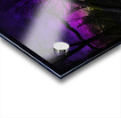 JBS 9933  Acrylic print