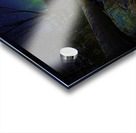 JBS 9704  Acrylic print