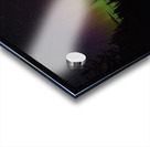 swamp light Acrylic print