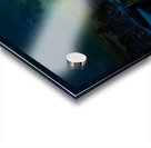 JBS 5800 2 Acrylic print