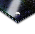 JBS 9952  Acrylic print