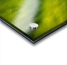 JBS 6014ng  Acrylic print