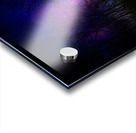 ZJS 6317  Acrylic print