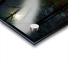 DSC 3665 1 Acrylic print