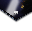 DSC 5763  Acrylic print