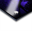 JBS 0672  Acrylic print