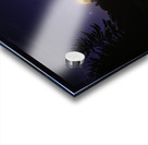 DSC 5746  Acrylic print