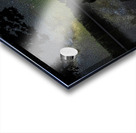 DSC 5429  Acrylic print