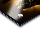 CRC 0731 Acrylic print