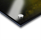 2222 Fall River Acrylic print