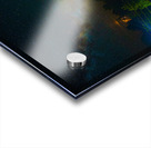 DSC 3573  Acrylic print