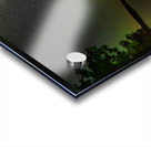 DSC 1825 Acrylic print