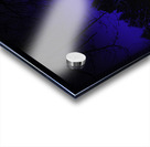 JBS 0689  Acrylic print