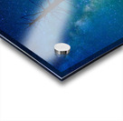 CRC 1662 Acrylic print