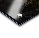 JBS 0868  Acrylic print