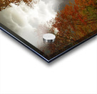 JBS 3790  Acrylic print