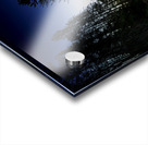 JBS 2040 Acrylic print