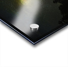 JBS 1098  Acrylic print