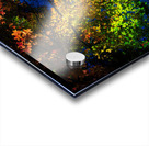 JBS 3297  Acrylic print