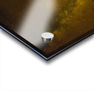 JBS 3607 Acrylic print